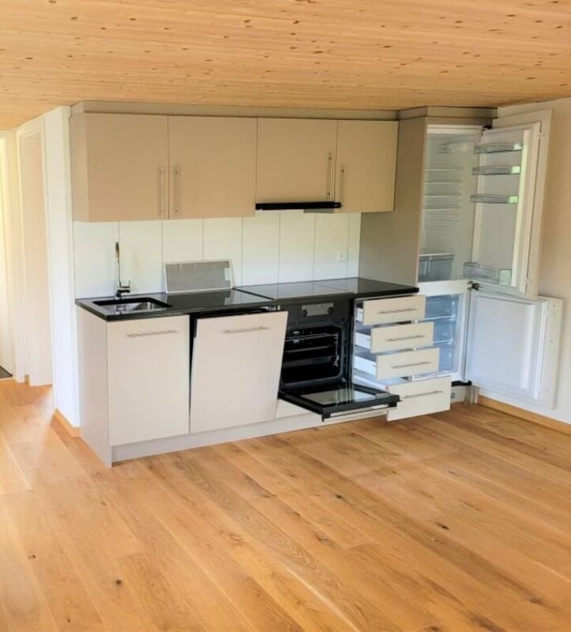 Heimelige und geräumige 2.5 Zi-Wohnung (3)