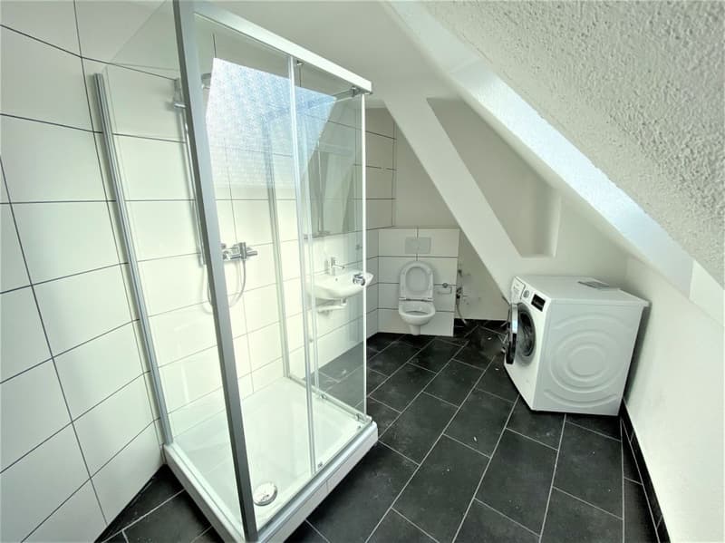Heimelig in der Stadt - 4-Zi. Maisonette-Dachwohnung (8)