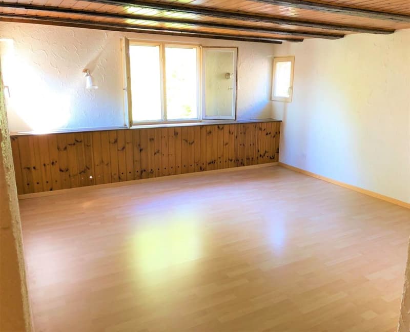 Grosszügige 3,5 Zimmer-Dachwohnung (1)