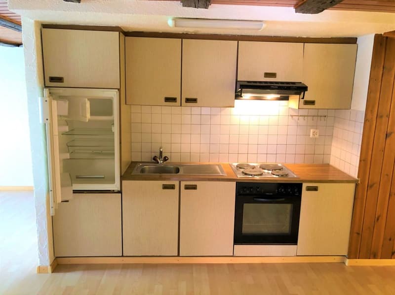 Grosszügige 3,5 Zimmer-Dachwohnung (4)