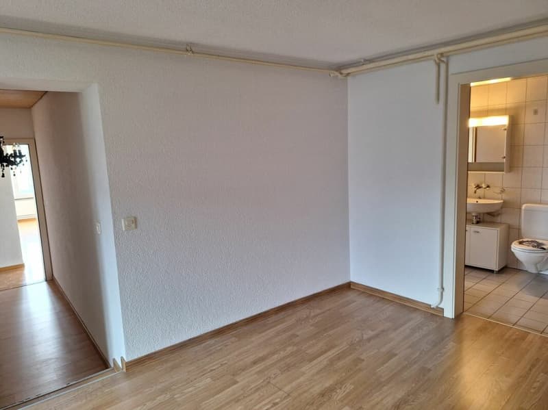 Helle grosszügige 3.5 Zi Wohnung (3)