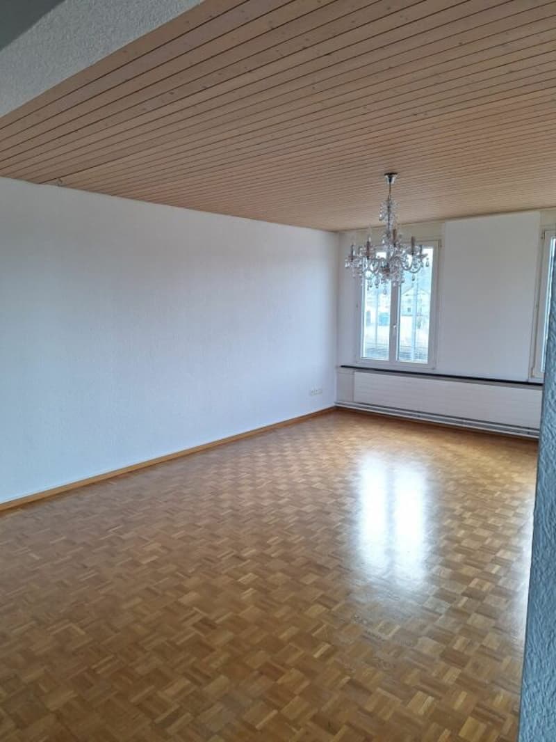 Helle grosszügige 3.5 Zi Wohnung (6)