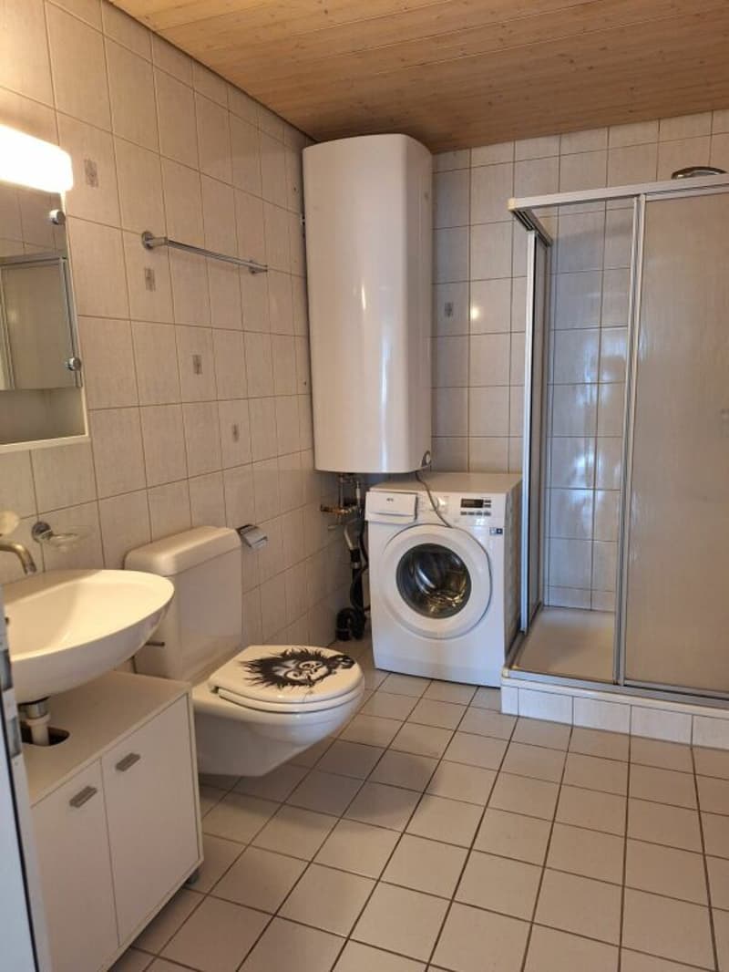 Helle grosszügige 3.5 Zi Wohnung (4)