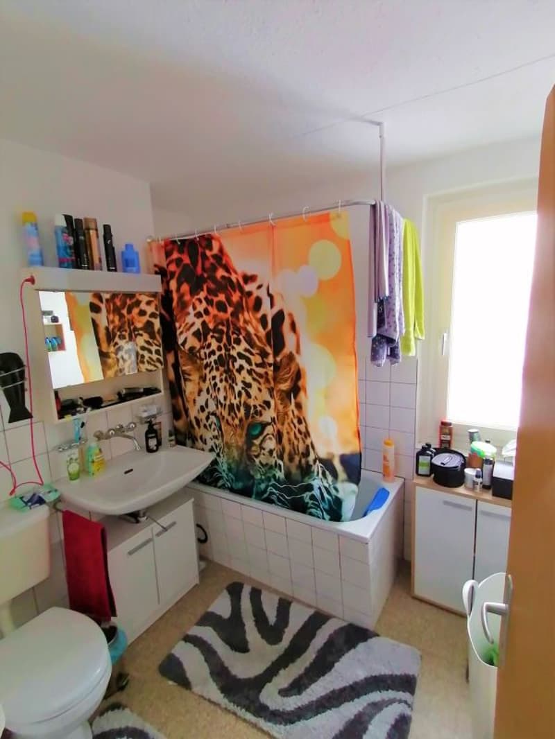 Schöne 3.5 Zi-Wohnung zu vermieten (6)