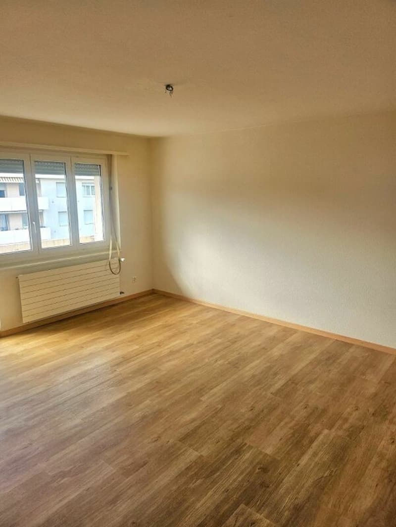 Helle 2.5 Zi. Wohnung zu vermieten (3)
