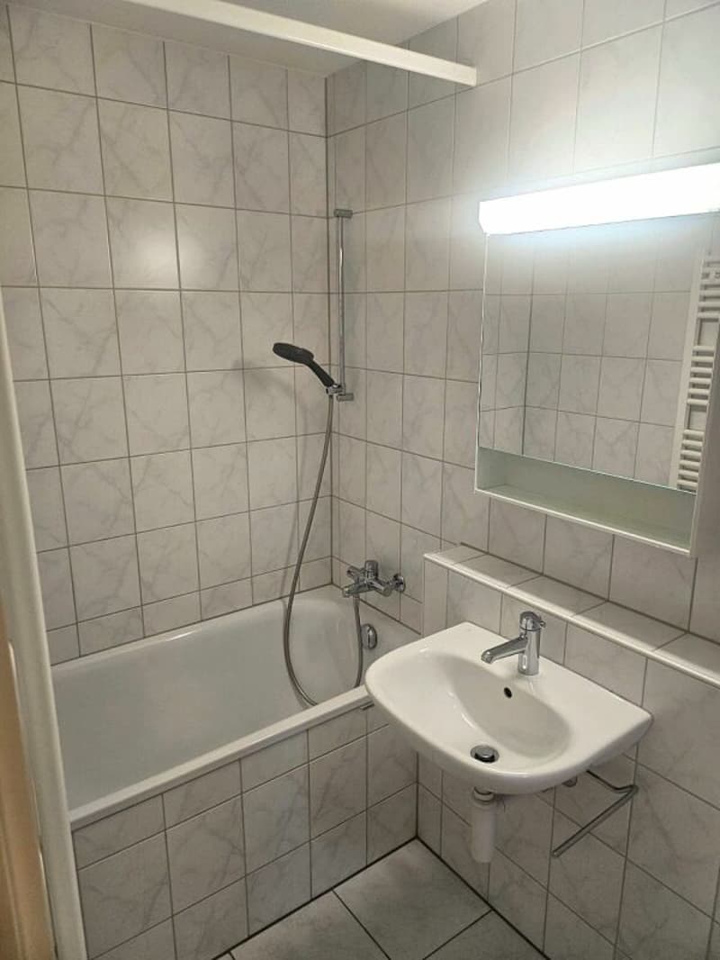 Helle 2.5 Zi. Wohnung zu vermieten (5)