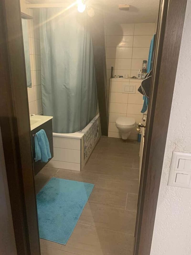 3.5 Zimmer Wohnung (6)