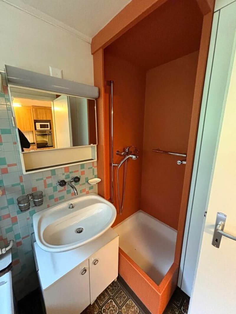 3.5-Zimmer Wohnung mit Wintergarten (5)