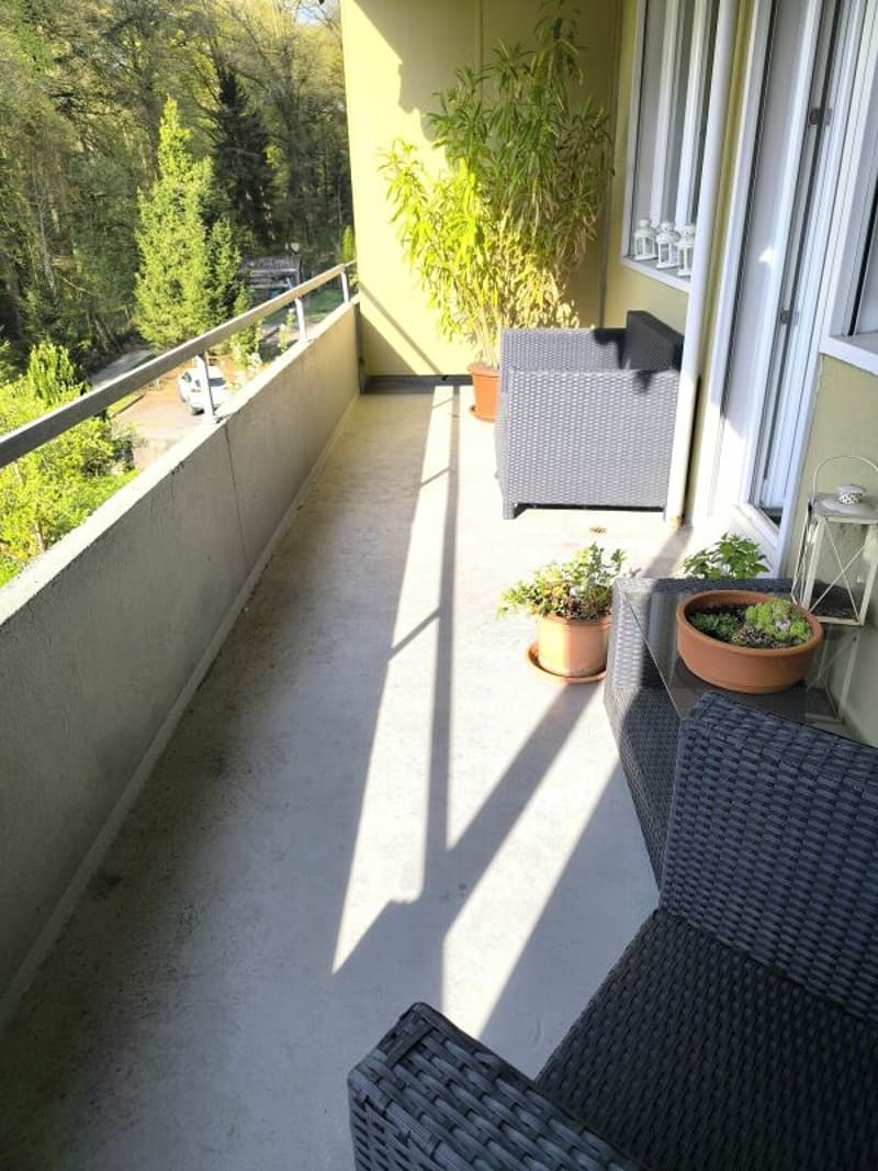 Helle 3.5Zi-Wohnung mit Balkon (3)