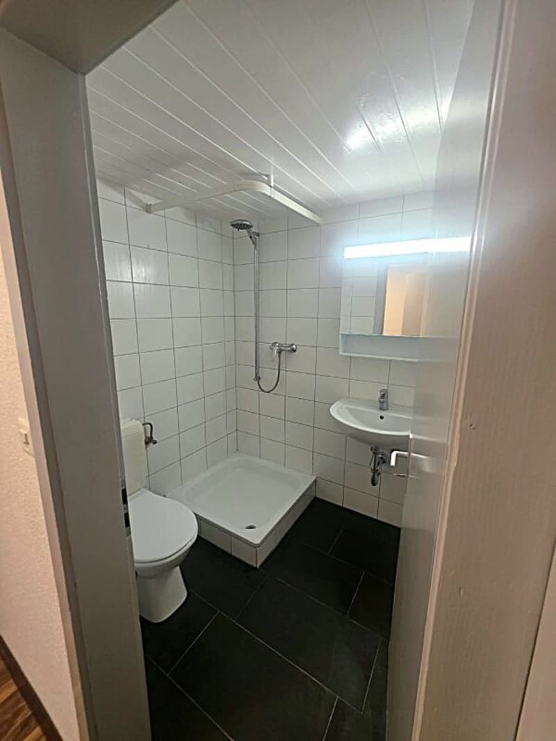 Heimelige 4,0-Zi-Wohnung zu vermieten (9)