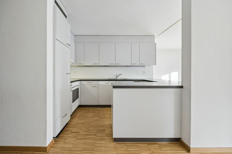 5.5-Zimmer-Gartenwohnung (5)