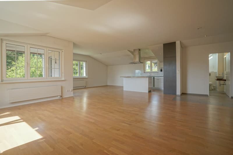 Täglich grüsst der Säntis - grosszügige Dachwohnung mit herrlichem Weitblick (4)