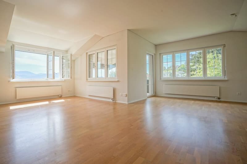 Täglich grüsst der Säntis - grosszügige Dachwohnung mit herrlichem Weitblick (3)