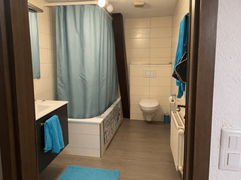 3.5 Zimmer Wohnung (4)
