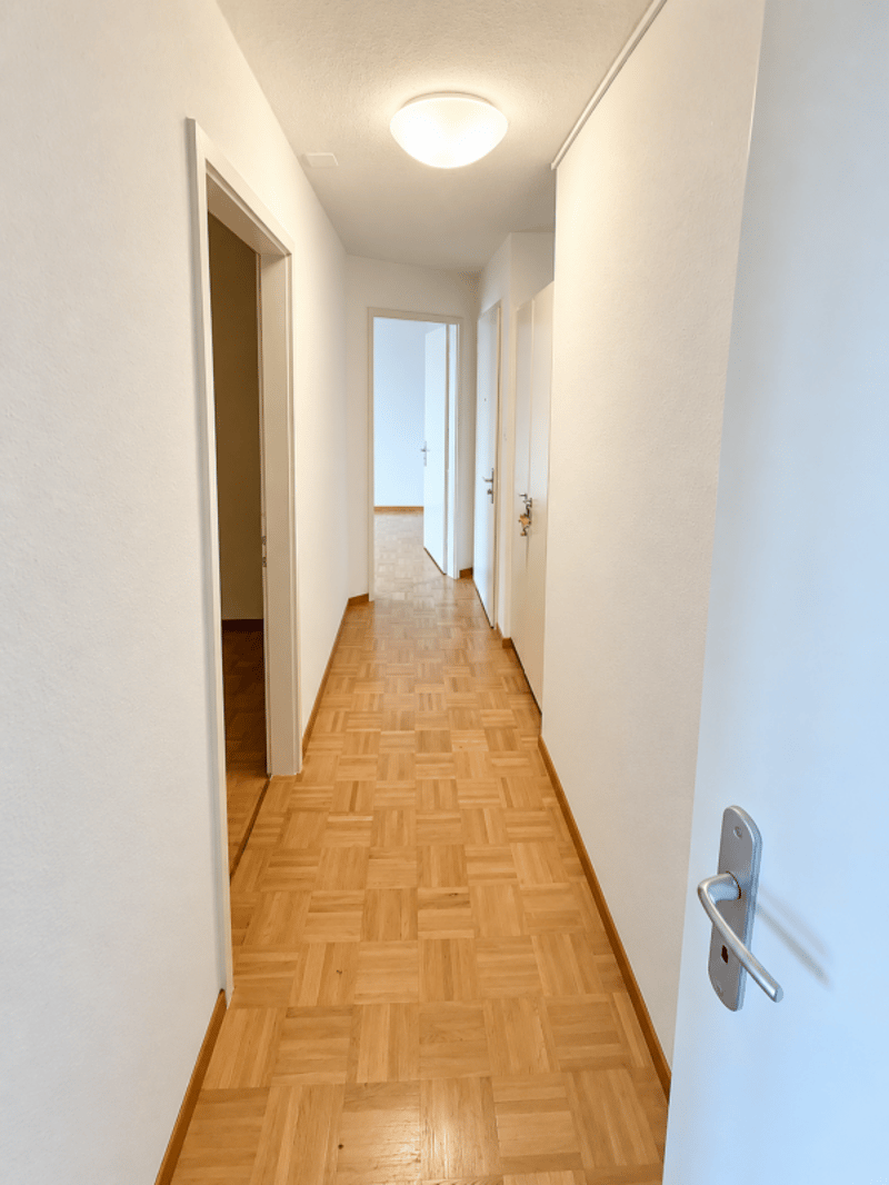Helle 3.0 Zi-Wohnung zu vermieten (4)