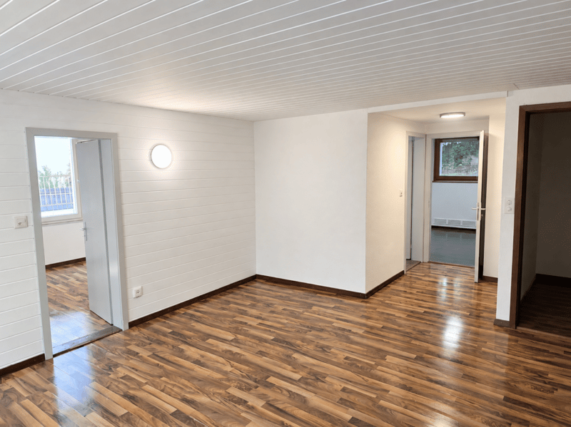 Heimelige 4,0-Zi-Wohnung zu vermieten (1)