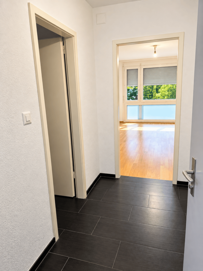 Helle und Grosszügige 4.5Zi-Wohnung (3)