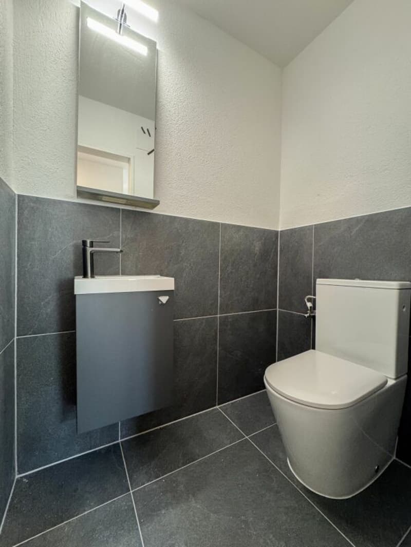 Moderne, sanierte 4.5-Zimmer-Wohnung mit Weitblick (4)