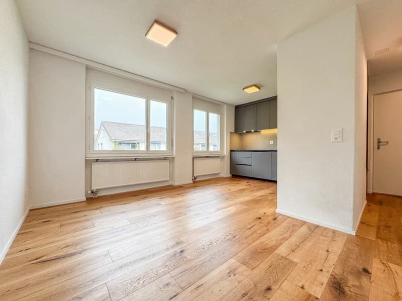 Moderne, sanierte 4.5-Zimmer-Wohnung mit Weitblick (2)