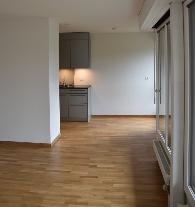 2.5 Zimmer Wohnung in Schwarzenburg (1)