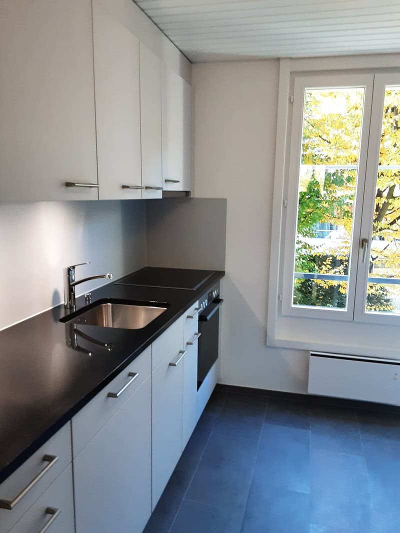 neu renovierte 2-Zimmerwohnung im Länggassquartier in Bern (1)