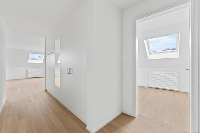 Corridor with wooden flooring, white walls, glass doors, skylights, a mirror, and built-in cabinets