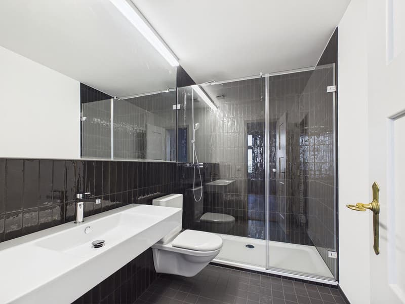 modern bathroom with white sink, black tiles, glass shower enclosure, white toilet