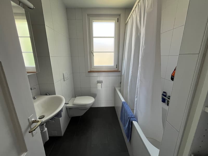 Gemütliche 2-Zimmerwohnung mit Balkon im Breitenrainquartier (3)