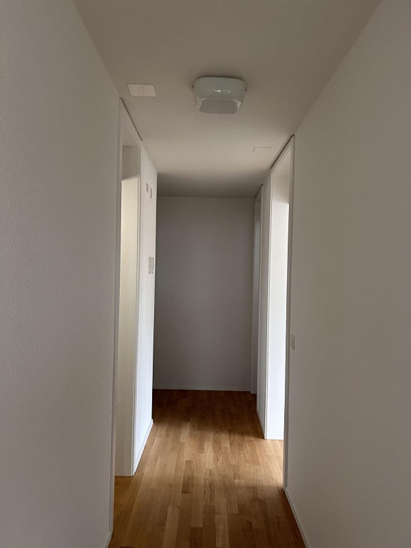 Habitation moderne dans la verdure : Première occupation après rénovation (4)