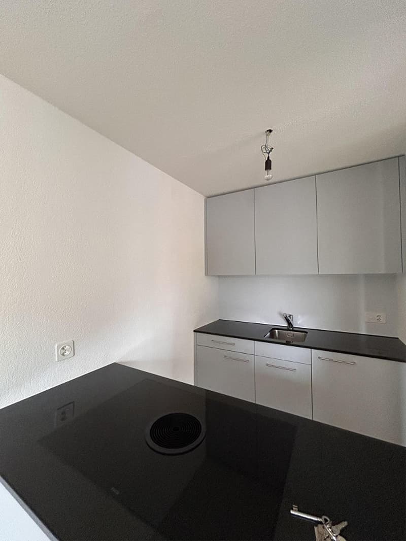 Habitation moderne dans la verdure : Première occupation après rénovation (6)
