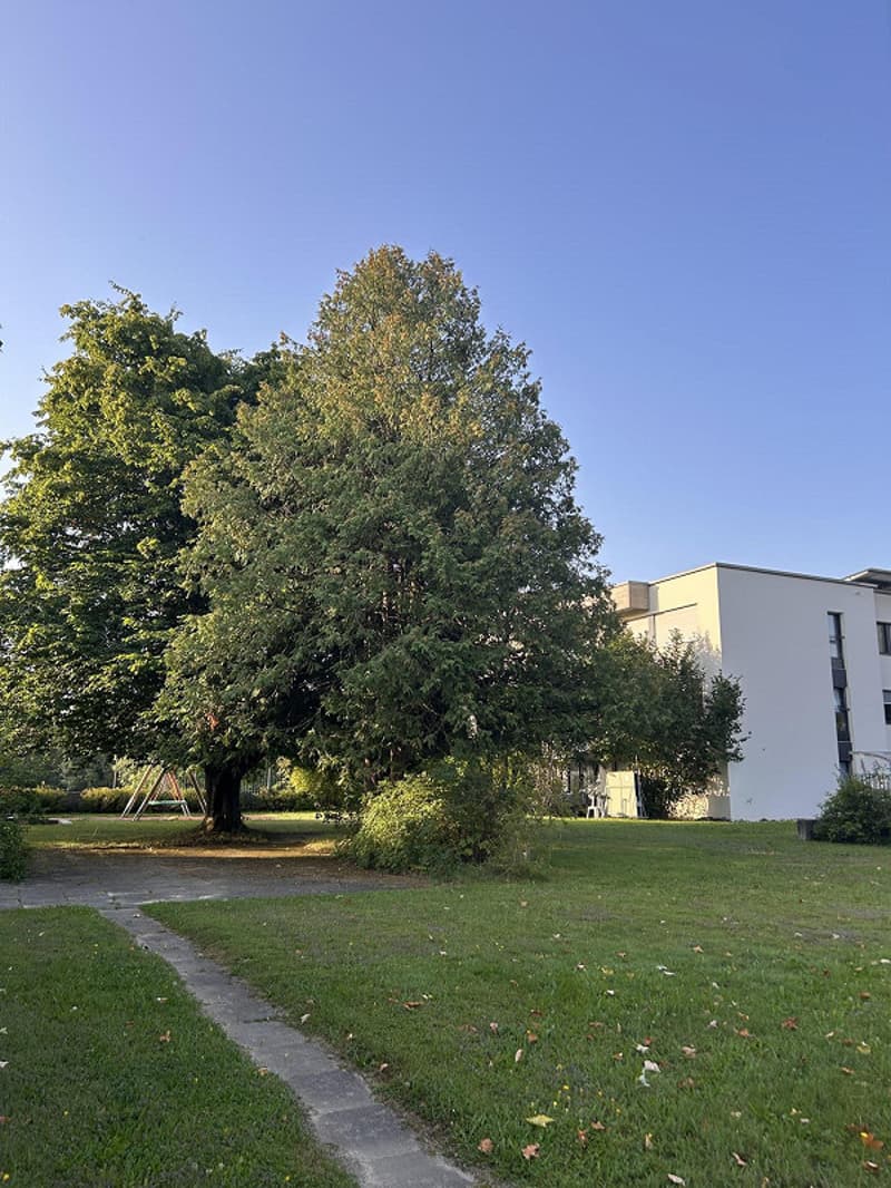 Habitation moderne dans la verdure : Première occupation après rénovation (9)
