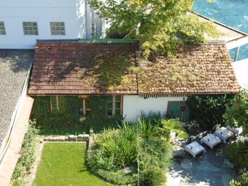 Gewerbefläche mit Garten & Dachterrasse direkt unter der Laube (2)