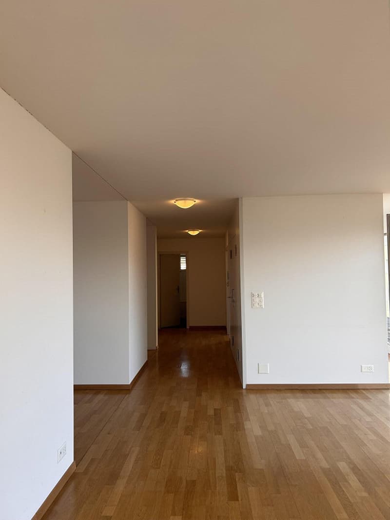 3.5-Zimmer-Attikawohnung mit wunderschönem Bergpanorama (12)