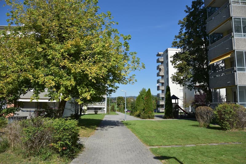 3.5-Zimmer-Attikawohnung mit wunderschönem Bergpanorama (23)
