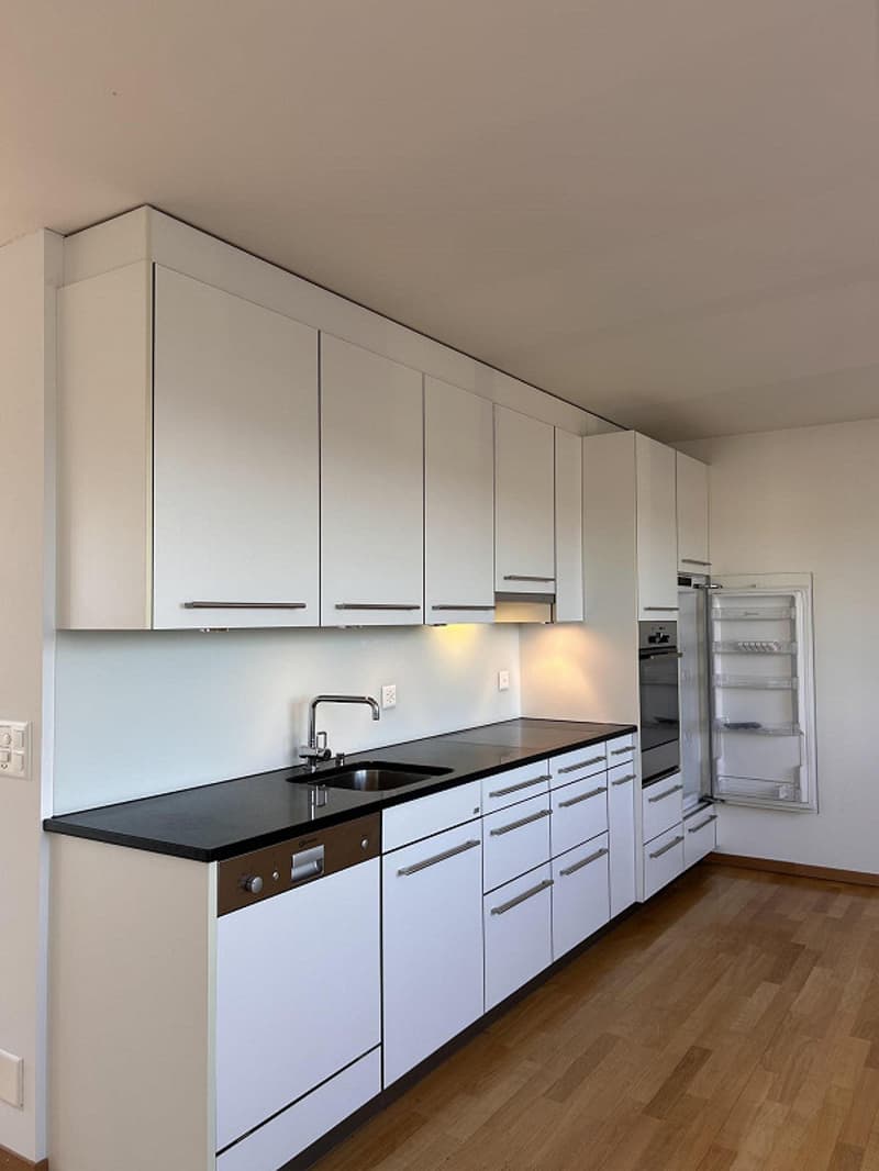 3.5-Zimmer-Attikawohnung mit wunderschönem Bergpanorama (9)
