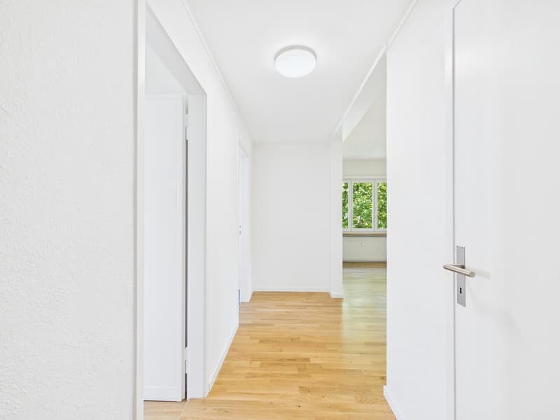 frisch sanierte & helle 4.5-Zimmerwohnung an zentraler Lage (14)