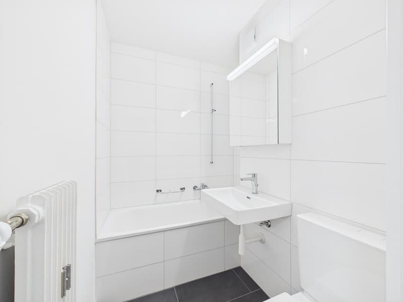 frisch sanierte & helle 4.5-Zimmerwohnung an zentraler Lage (16)