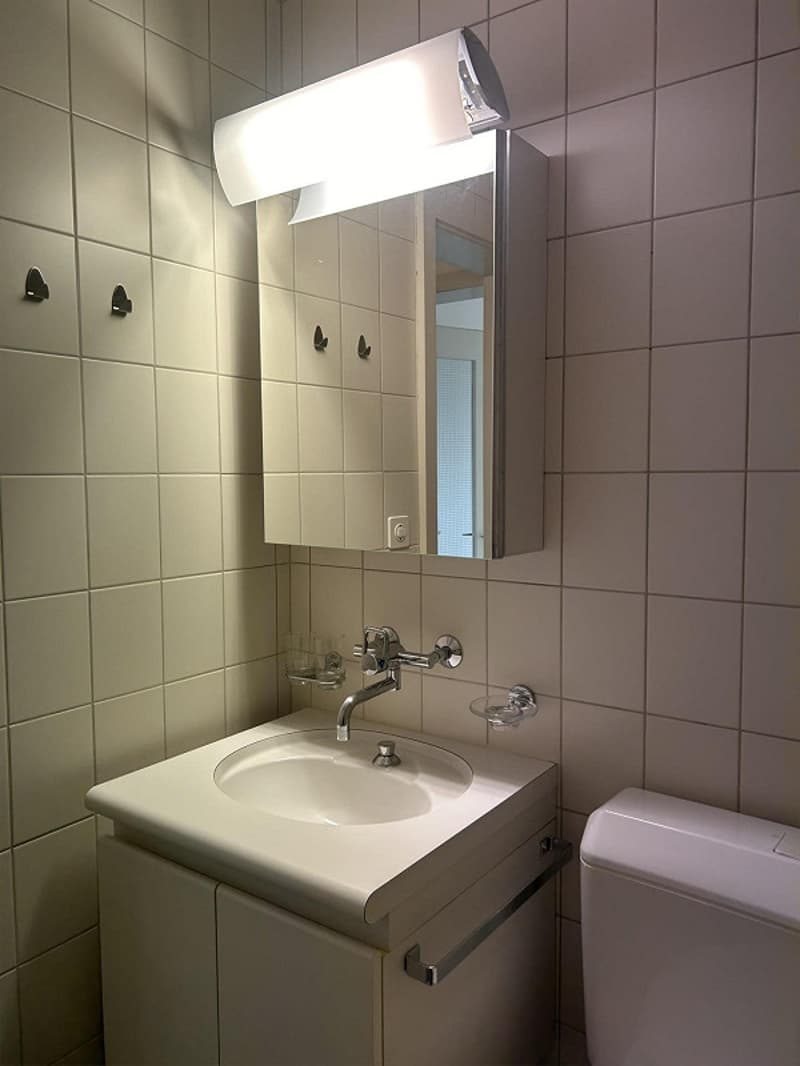 grosszügige & zentrale 1-Zimmerwohnung im Wankdorf (9)