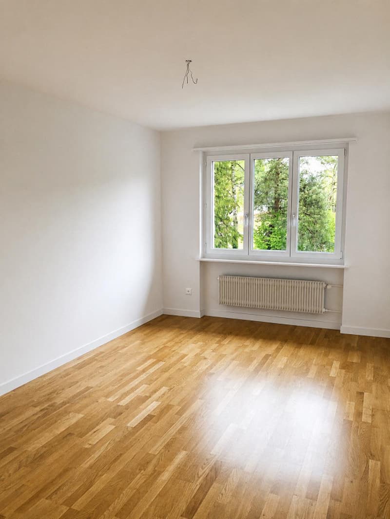 Komfortable 4-Zimmerwohnung nähe Rosengarten (9)