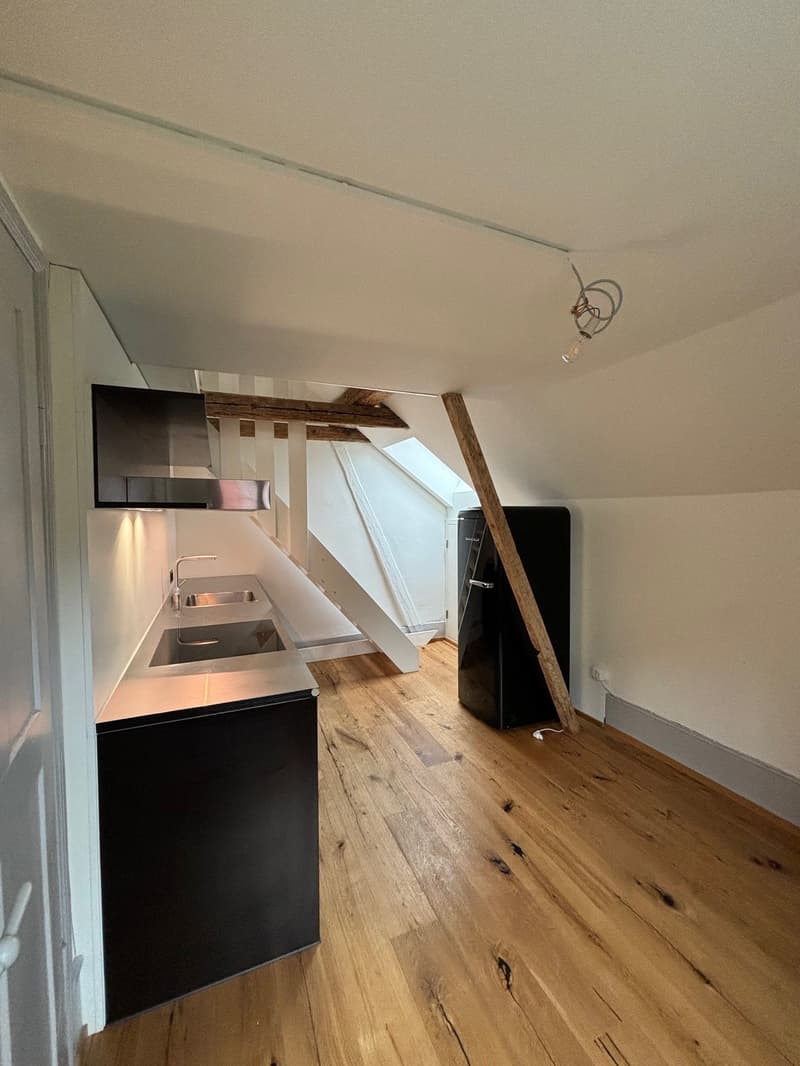Moderne 2.5-Zimmergaleriewohnung im Monbijou- / Weissenbühlquartier (2)