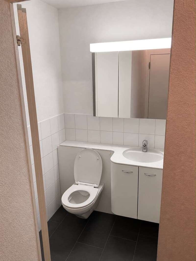 moderne, helle 3 -Zimmerwohnung in Münsingen (4)