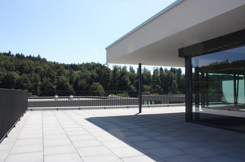 moderne 2.5-Zimmer-Attikawohnung in Herrenschwanden (5)
