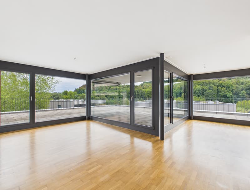 2.5-Zimmerattikawohnung mit grosszügiger Terrasse (1)