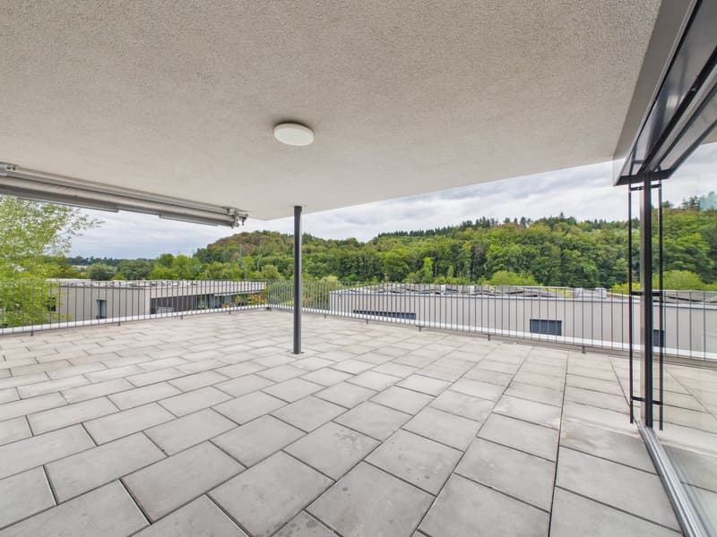 2.5-Zimmerattikawohnung mit grosszügiger Terrasse (10)