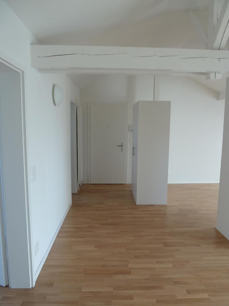 charmante 2.5-Zimmerdachwohnung nähe Rosengartens (6)
