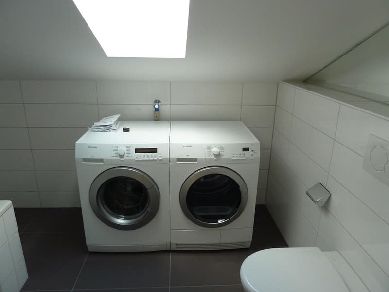 charmante 2.5-Zimmerdachwohnung nähe Rosengartens (8)