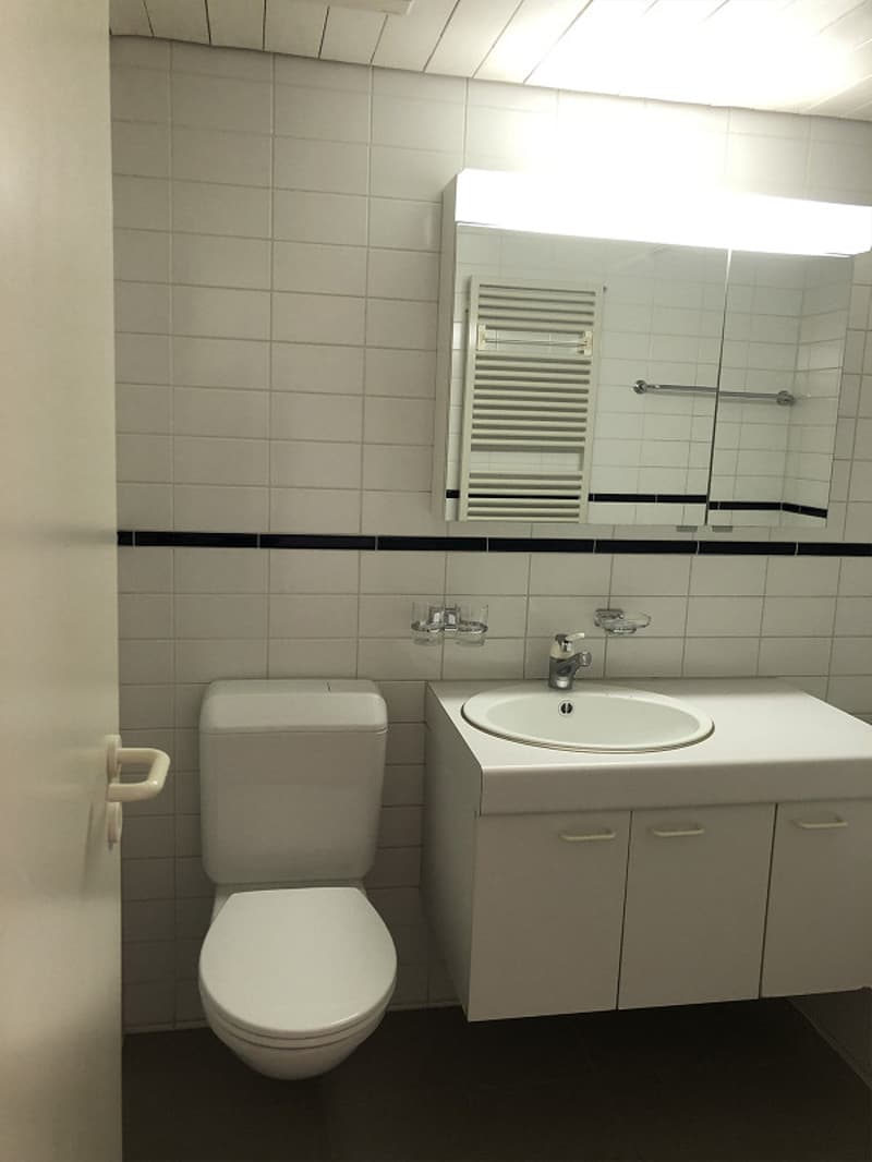 1.5-Zimmer-Galeriewohnung mit grossem Balkon (13)