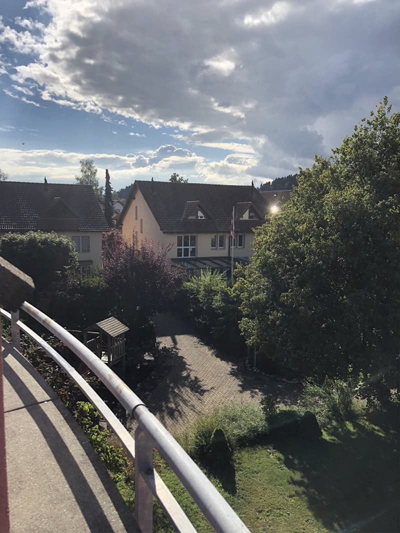 1.5-Zimmer-Galeriewohnung mit grossem Balkon (5)