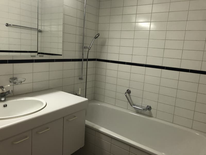 1.5-Zimmer-Galeriewohnung mit grossem Balkon (14)