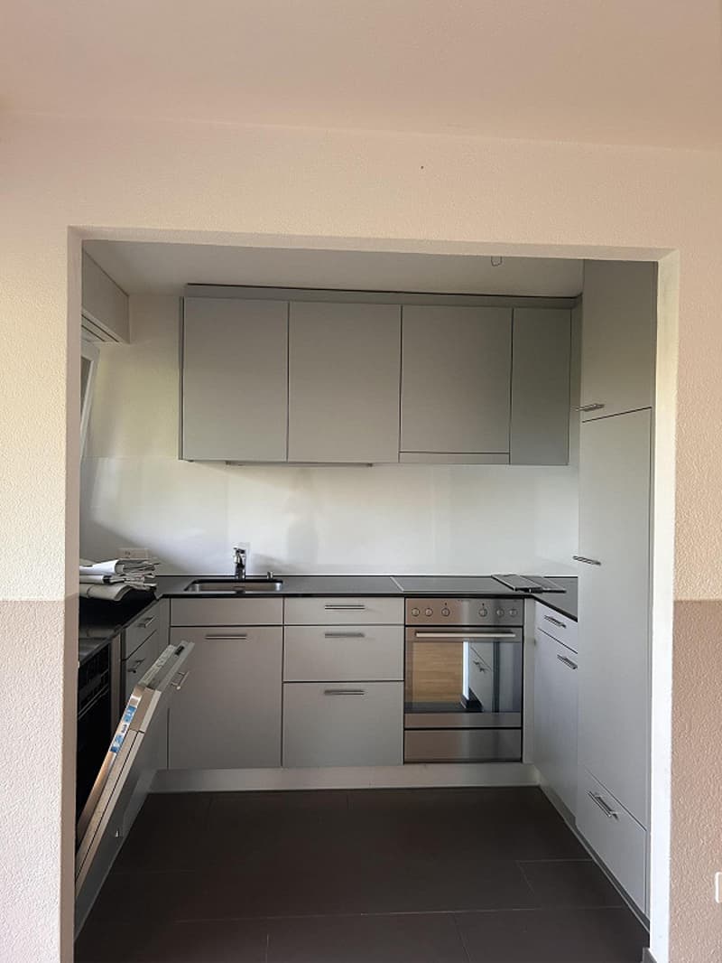 Ihr neues Zuhause wartet: frisch sanierte 3.5 Zimmerwohnung (1)